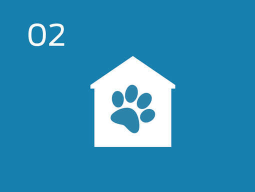 Promote pet adoption by leveraging partnerships