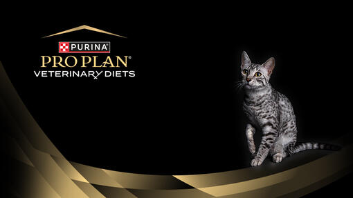 Pro Plan Veterinary Diets logo and cat