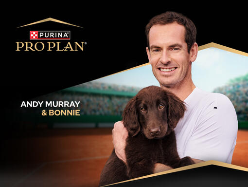 Andy Murray and Bonnie (puppy)