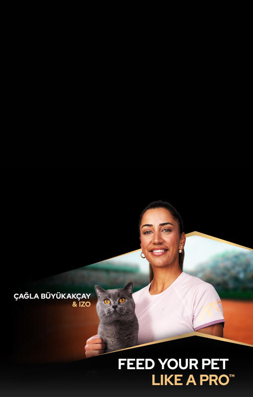 Feed your pet like a pro - Çağla Büyükakçay and her cat Izo