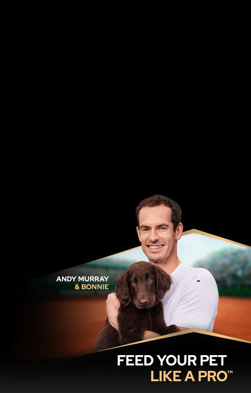 Feed your pet like a pro - Andy Murry and his puppy Bonnie