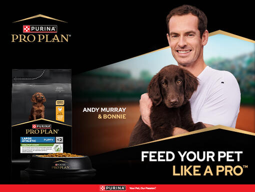 Feed your pet like a pro - Andy Murry and his puppy Bonnie