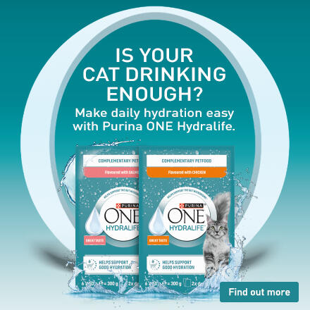 Is your cat drinking enough? Make daily Hydration easy with Purina ONE Hydralife