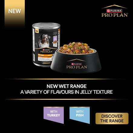 New wet range a variety of flavours in jelly texture