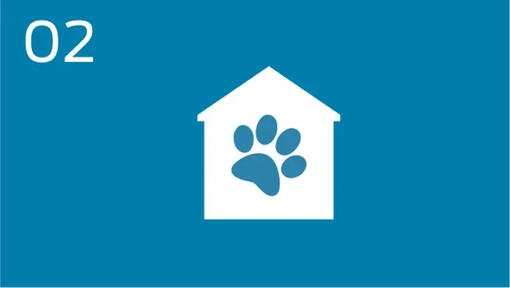 Promote pet adoption by leveraging partnerships