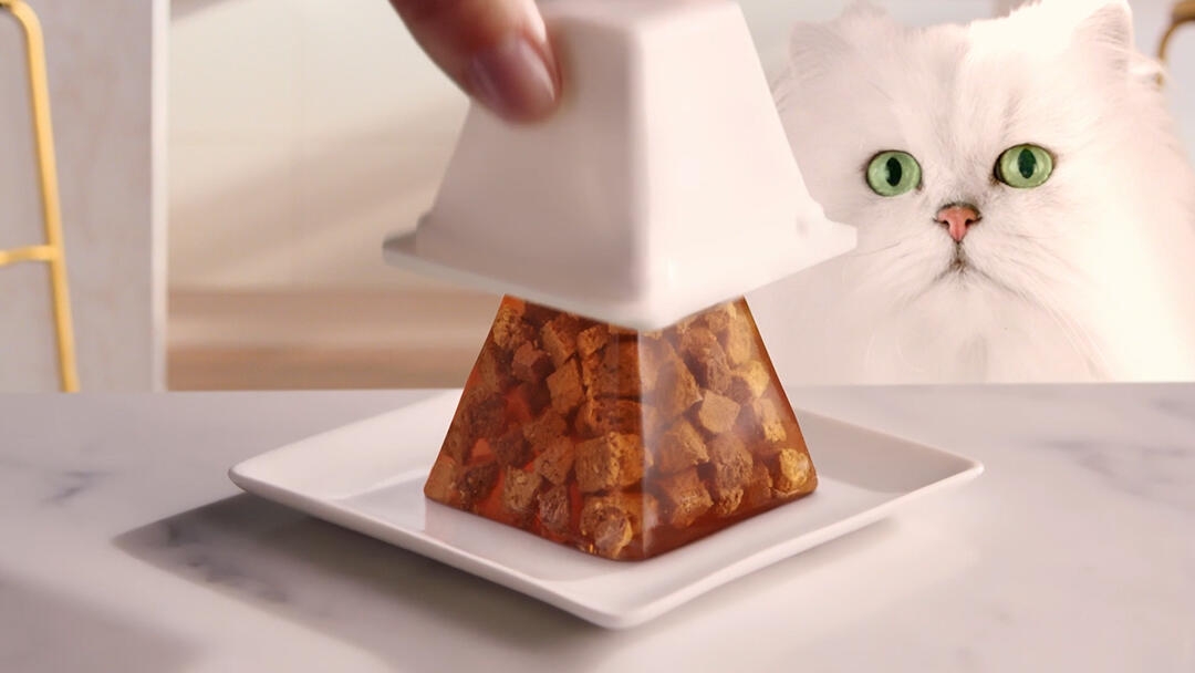 Gourmet Gelee on a plate with a white cat watching