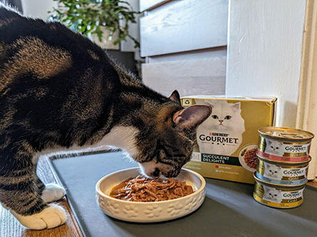 'Hela' eating Gourmet Succulent Delights