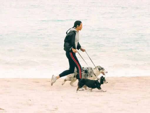 woman running on the beach with their dogs