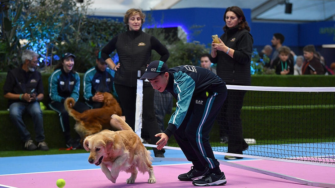 Boy throwing a tennis ball on a court to a golden retriever