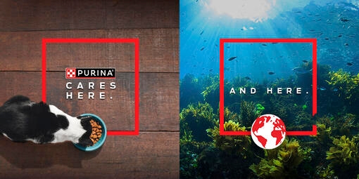 PURINA EUROPE’S OCEAN RESTORATION PROGRAMME