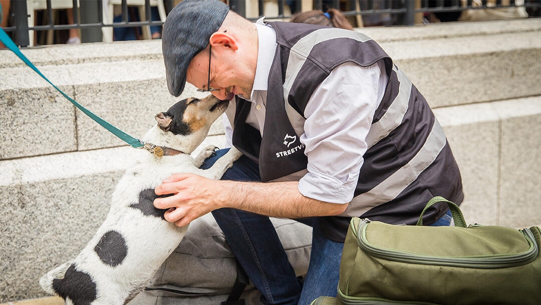 Street vet greeting a Jack Russell