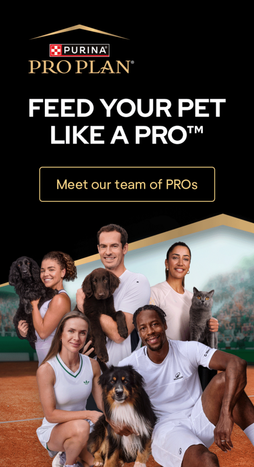 Team of PRO