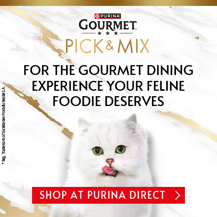 Gourmet Pick and Mix