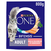 PURINA ONE® Salmon and Whole Grains Dry Cat Food