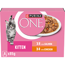 PURINA ONE® Kitten x4 with Salmon, x4 with Chicken wet food
