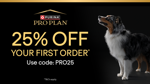 PRO PLAN 25% off your first order. Use code: PRO25