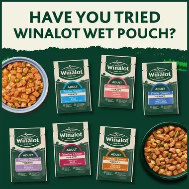 Have you tried Winalot wet pouch?