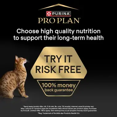 Pro Plan Try It Risk Free 100% money back guarantee