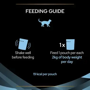 Feeding guide