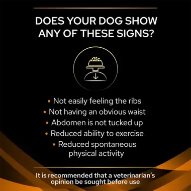 Does your dog show any of these signs?