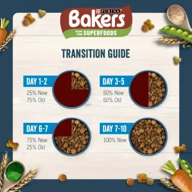 Bakers transition guide
