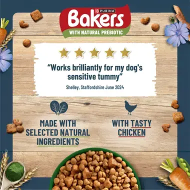 5 stars "Works brilliantly for my dog's sensitive tummy"