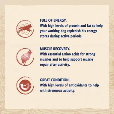 Full of energy / Muscle recovery / great condition