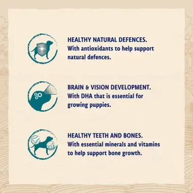 Healthy natural defences / Brain & vision development / Healthy teeth and bones