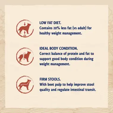 Low fat diet / Ideal body condition / Firm stools