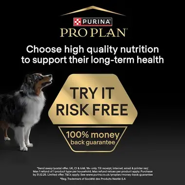 Pro Plan try it risk free, 100% money back guarantee