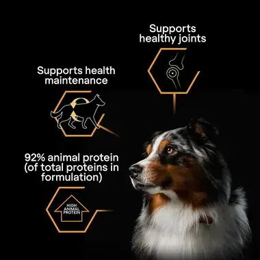 Supports healthy joints, health maintenance, 92% animal protein