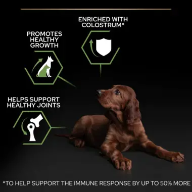 Enriched with colostrum, promotes healthy growth, supports healthy joints