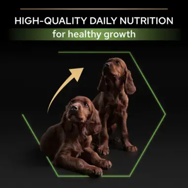 High quality daily nutrition for healthy growth