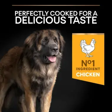 Perfectly cooked for a delicious taste