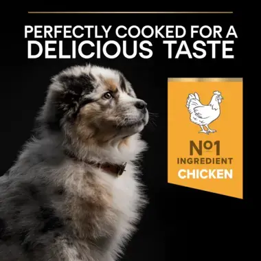 Perfectly cooked for a delicious taste