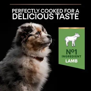 Perfectly cooked for a delicious taste