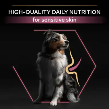 High quality daily nutrition for sensitive skin