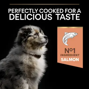 Perfectly cooked for a delicious taste