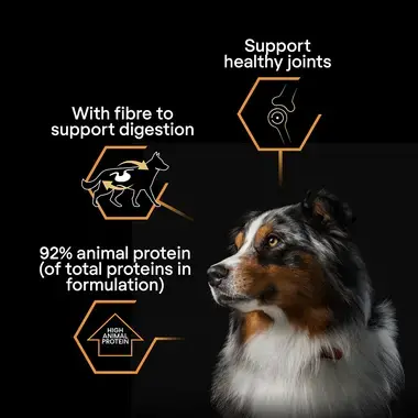 Support healthy joints, with fibre for digestion, 92% animal protein