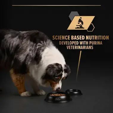 Science based nutrition developed with Purina Veterinarians