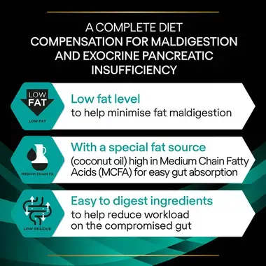 PRO PLAN® VETERINARY DIETS EN Gastrointestinal Dry Dog Food