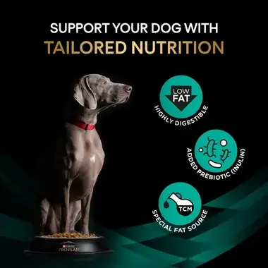 Support your dog with tailored nutrition