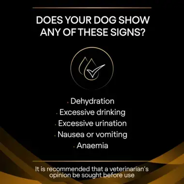 PRO PLAN® VETERINARY DIETS NF Renal Function Dry Dog Food