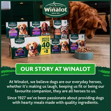 Our story at Winalot