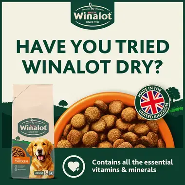 Have you tried Winalot dry?